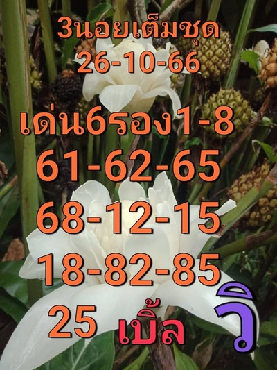 หวยฮานอยวันนี้ 26/10/66 ชุดที่ 1