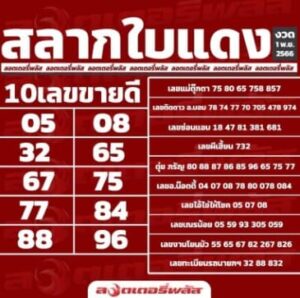 หวยใบแดง 1/11/66