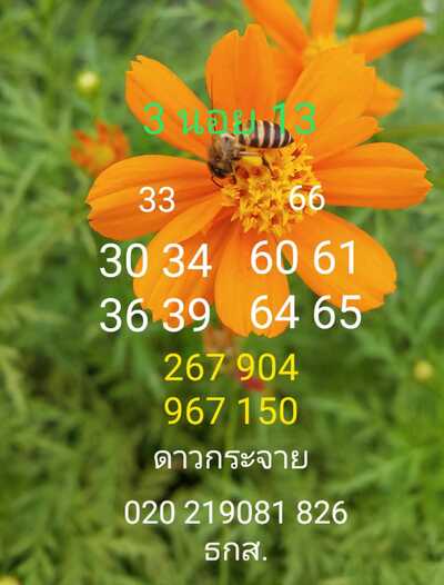 หวยฮานอยวันนี้ 13/11/66 ชุดที่ 5