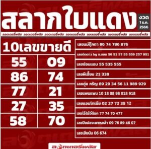 หวยใบแดง 1/12/66