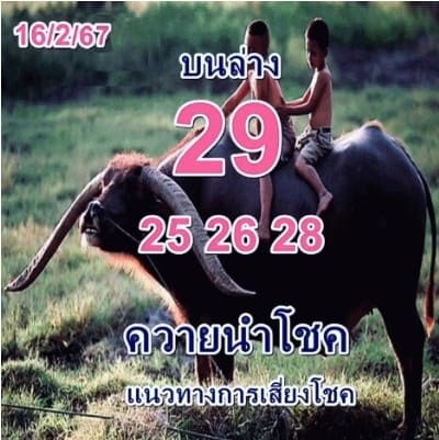 หวยควายนำโชค 16/2/67