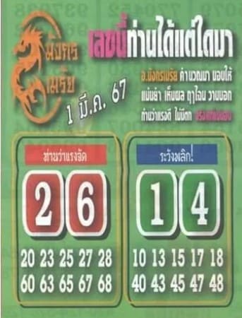 หวยมังกรเมรัย 1/3/67